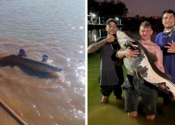 Jovem que pescou ‘monstro dos rios’ de mais de 40 kg já capturou peixes de 100 kg; veja quais